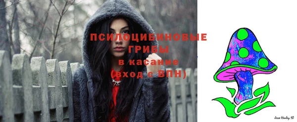 сатива Усолье-Сибирское