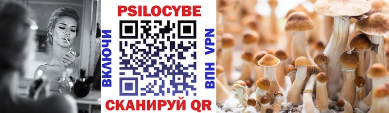 Псилоцибиновые грибы прущие грибы Балахна